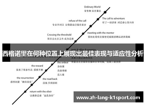 西格诺里在何种位置上展现出最佳表现与适应性分析