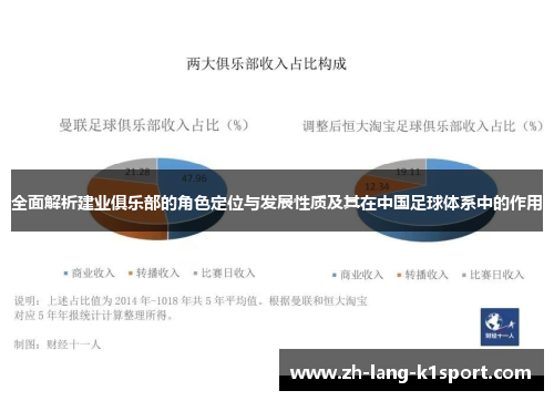 全面解析建业俱乐部的角色定位与发展性质及其在中国足球体系中的作用