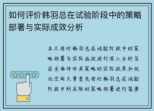 如何评价韩羽总在试验阶段中的策略部署与实际成效分析