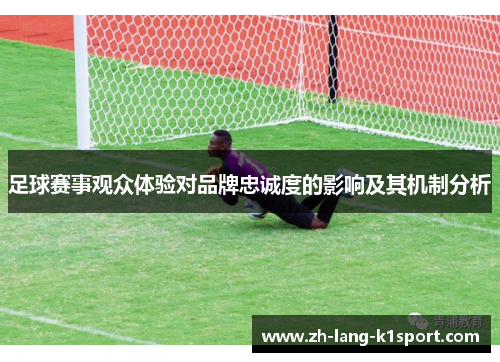 足球赛事观众体验对品牌忠诚度的影响及其机制分析